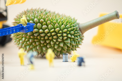 Miniature crime scene investigator with little of fresh young durian.