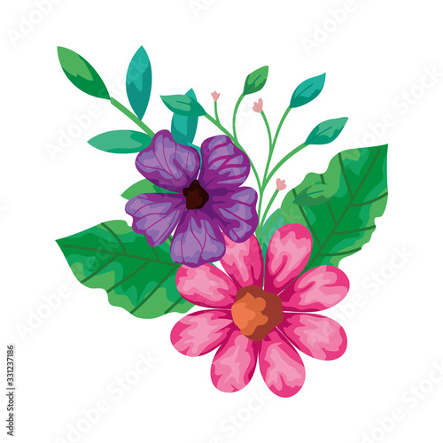 cute flowers pink and purple color with leafs vector illustration design