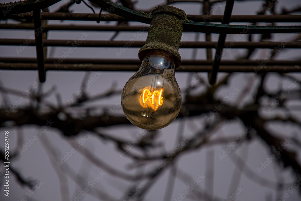 Light bulb with filament at dusk