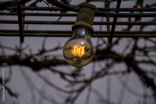 Light bulb with filament at dusk © Mitch Shark