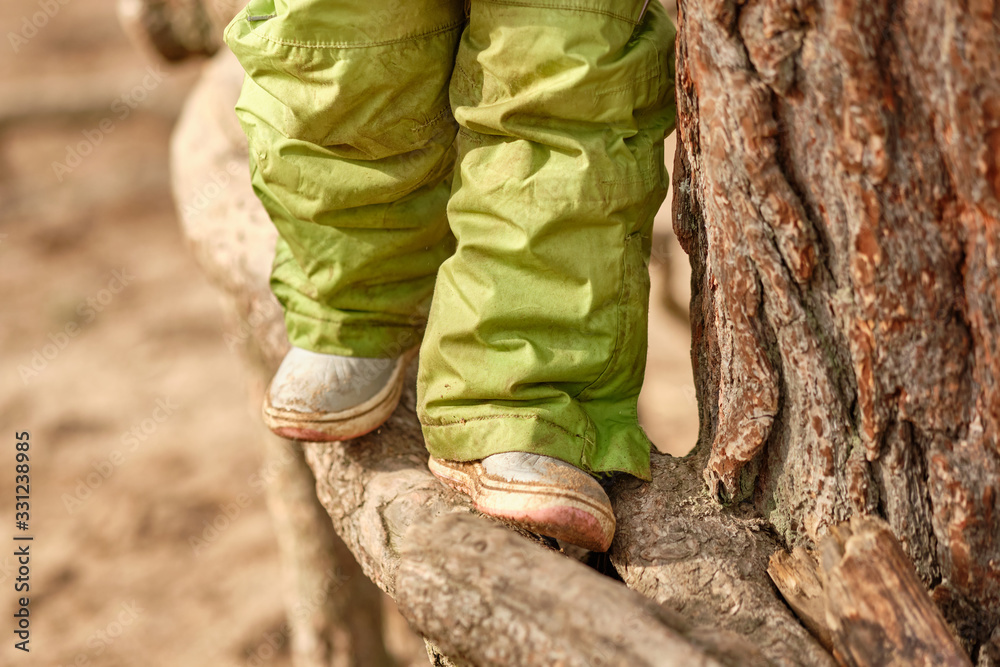 Low section of a child girl in warm clothing climbing over huge roots of a pine tree at the beginning of spring in March in Germany