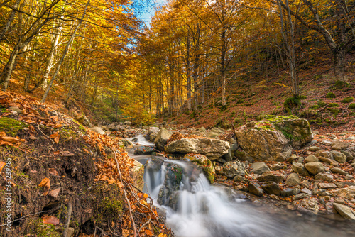 a hidden stream in the Orecchiella natural park, Tuscany