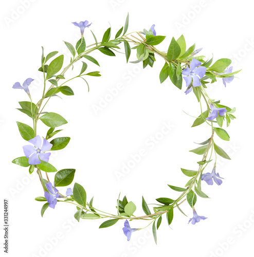 Circle frame from periwinkle flowers without shadow