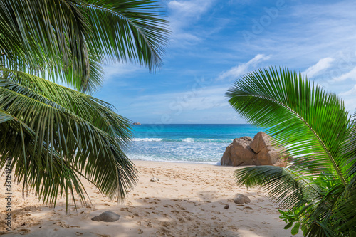 Fototapeta Naklejka Na Ścianę i Meble -  Tropical beach with white sand and coco palms. Summer vacation and tropical beach concept.	