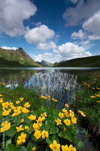Le lac de Roy , haute-savoie , alpes © BuBu
