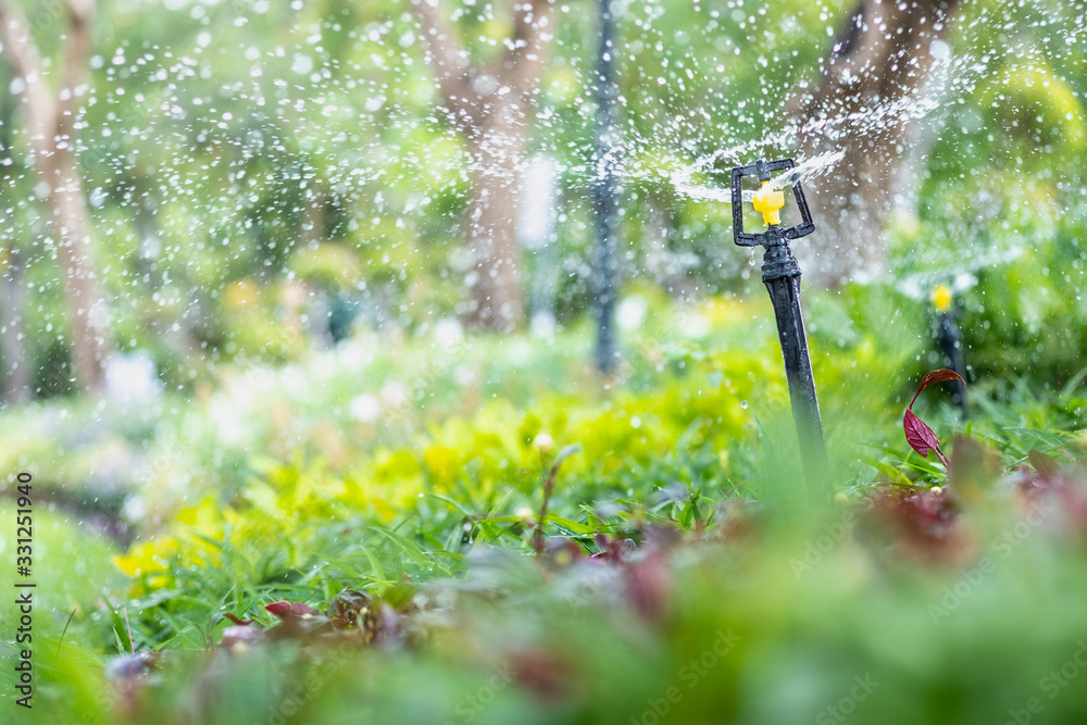 Amazing nature view of sprinkler on blurred greenery background in garden and sunlight with copy space using as background natural green plants landscape, ecology, fresh wallpaper concept. - obrazy, fototapety, plakaty 
