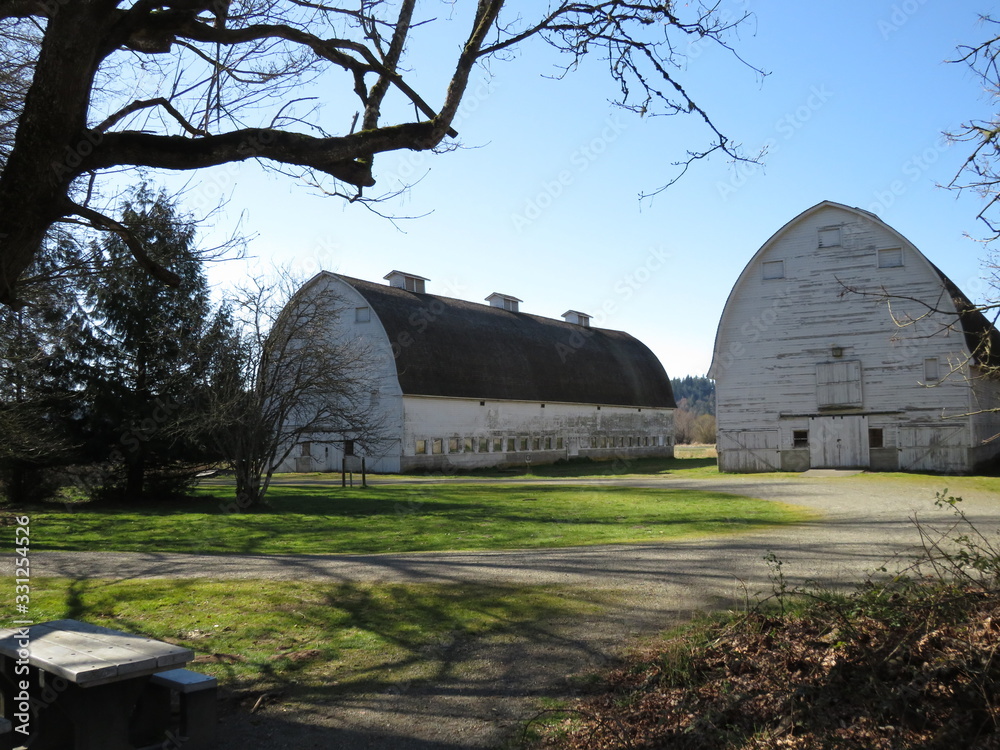 Obraz premium old barn in the field