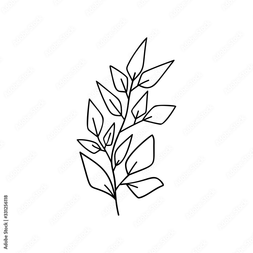 Doodle branch with leaves on white isolated background. Single natural object.