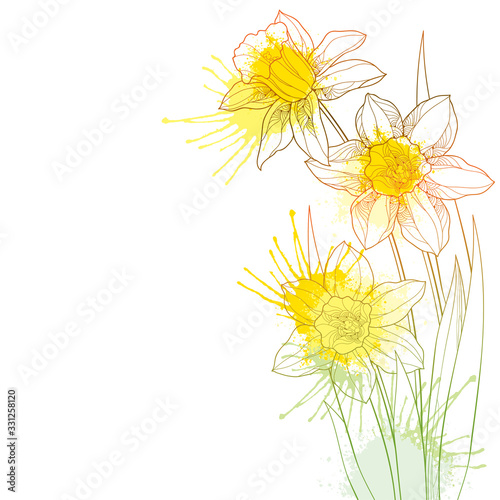Corner bouquet with outline narcissus or daffodil flower and leaf in pastel yellow and orange isolated on white background.