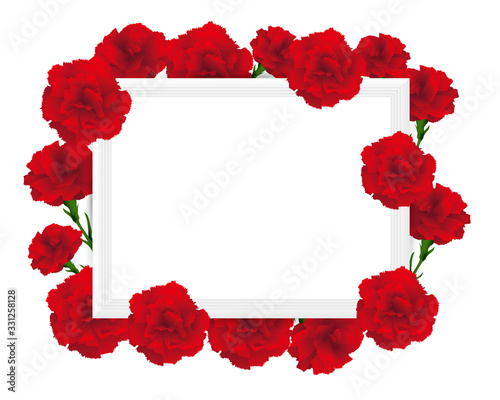 art frame with carnations illustration
