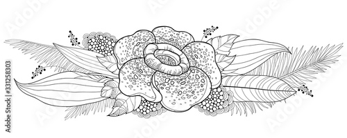 Bouquet of outline tropical Rafflesia arnoldii or corpse lily flower and palm leaf in black isolated on white background.  photo