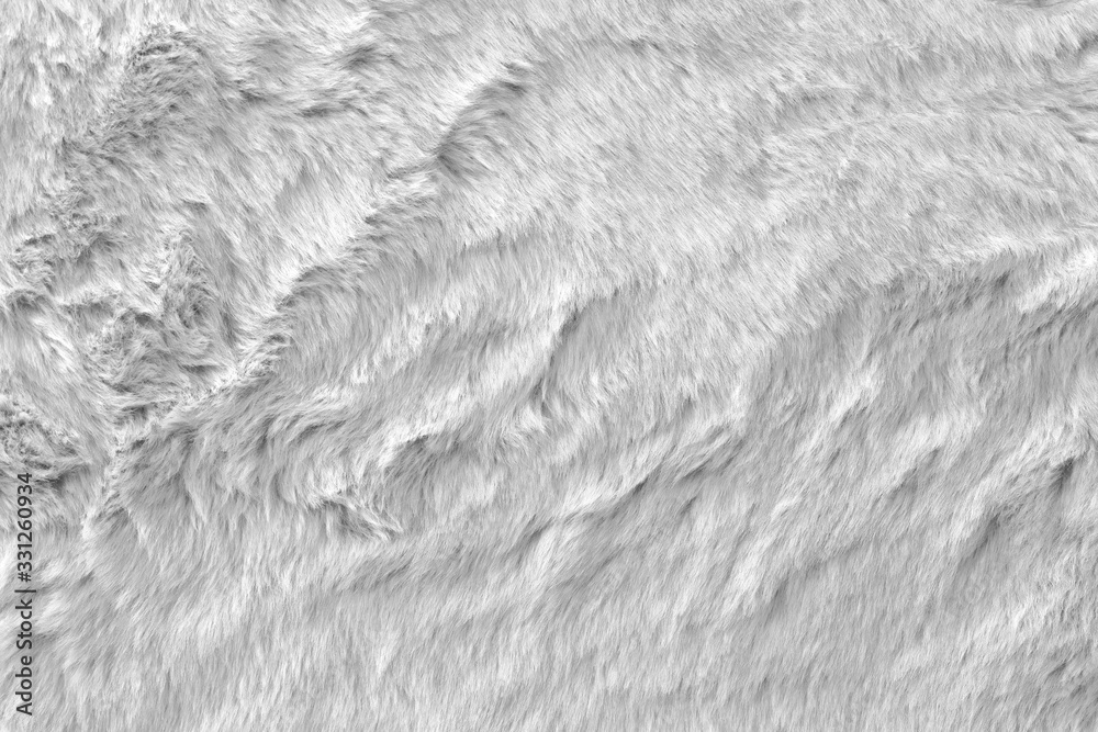 Fototapeta premium White real wool with a white top texture background, light natural sheep wool, white seamless cotton, fluffy fur texture for designers, close-up white wool rug