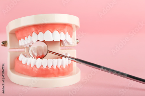 Teeth model with dental mirror on pink background