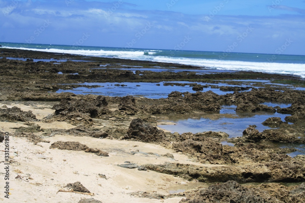 beach reef beach reef