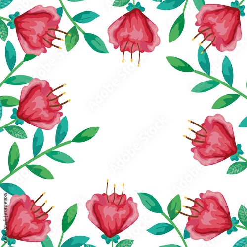 frame of flowers red with branches and leafs vector illustration design