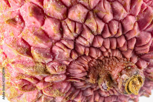 lychee fruit close-up on an isolated background