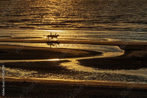 two horses galloping on the st. idesbald beach at sunset in belgium