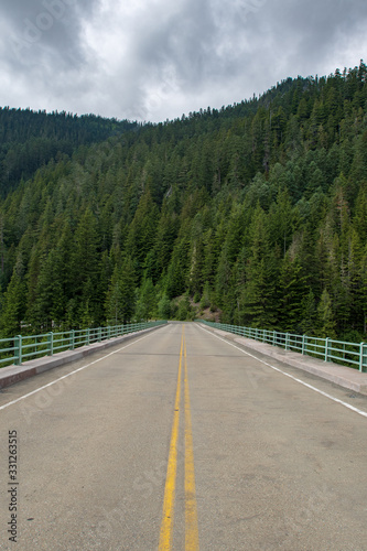 Straight highway road in Mount Rainier National Park with evergreen trees in the background