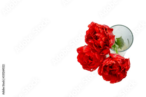 A bouquet of red flowers isolated on white background. Three red peony tulips. Flower gift concept. Concept of St. Valentine s Day and mother s day. Place for your text. Minimal composition. Top view