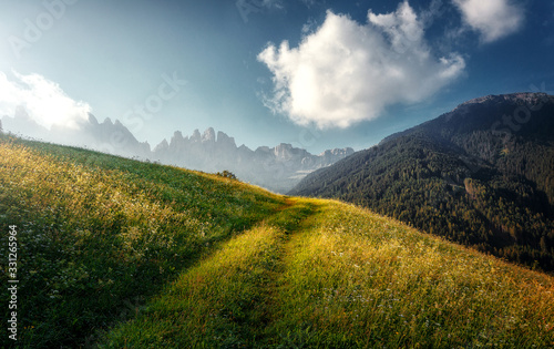 Awesome alpine highlands in sunny day. Alps mountain meadow tranquil summer view. Landscape with Fresh grass, perfect sky and rock mountains Dolomites under bright sunlight. Amazing Nature Scenery.