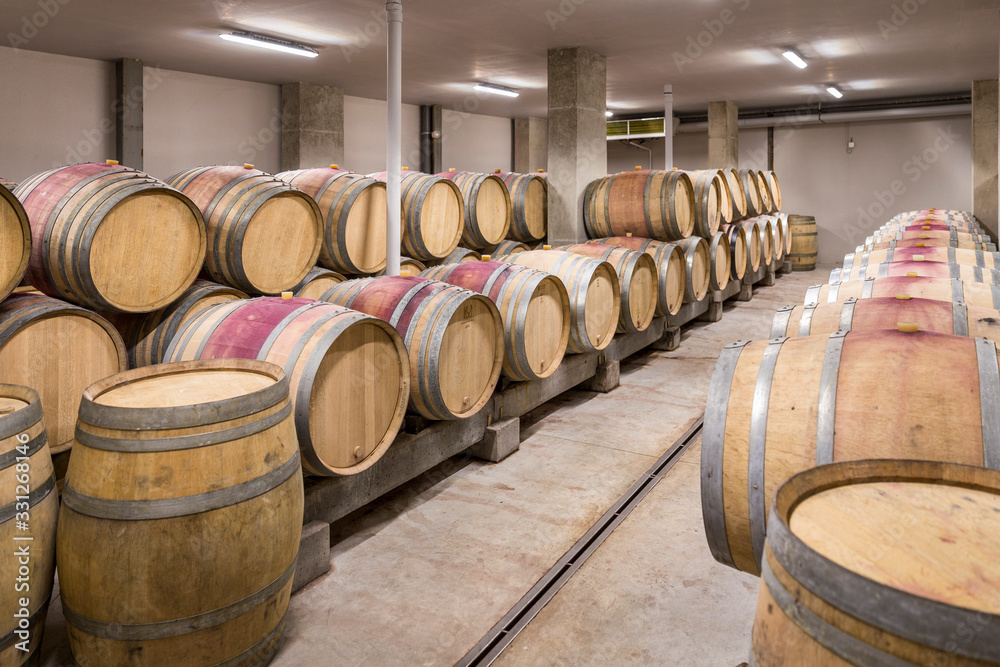 cave a vin cave a vin