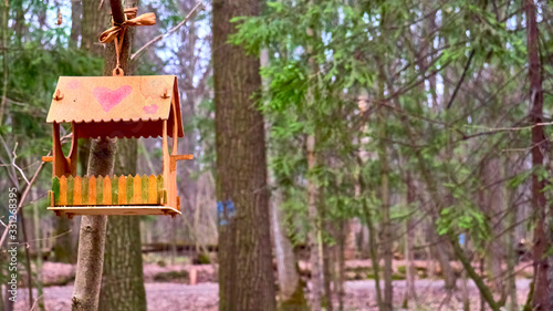 homemade bird feed in moscow