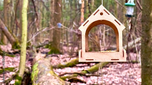 Canvas Print homemade bird feed in moscow
