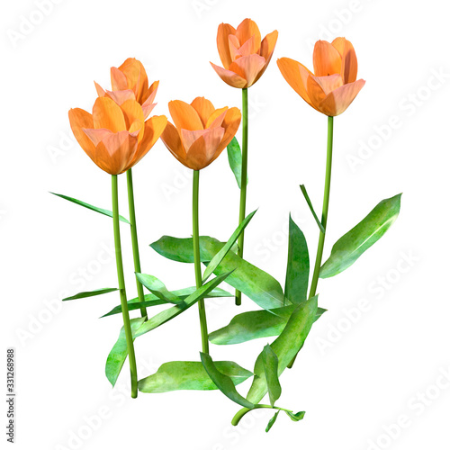 Wallpaper Mural 3D Rendering Tulip Flowers on White Torontodigital.ca