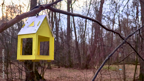 Photography homemade bird feed in moscow