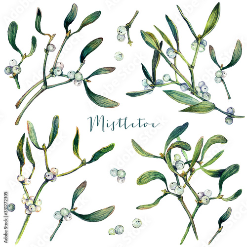 Watercolor Collection of Mistletoe Branches