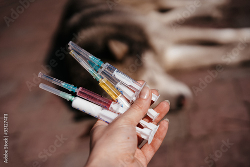  many injections on the background of a lying dog