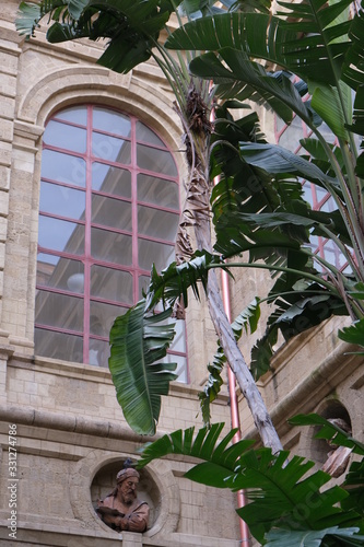 Palm tree in front of a galary photo