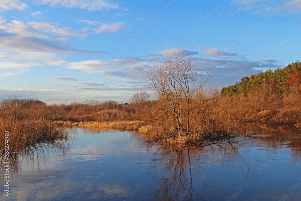 Spring bare shrub near a river on blue sky background. Spring bare shrub near a river on blue sky background.