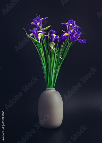 A bouquet of fresh irises is isolated on a black background. Drops of water are on the petals. Beautiful spring background.