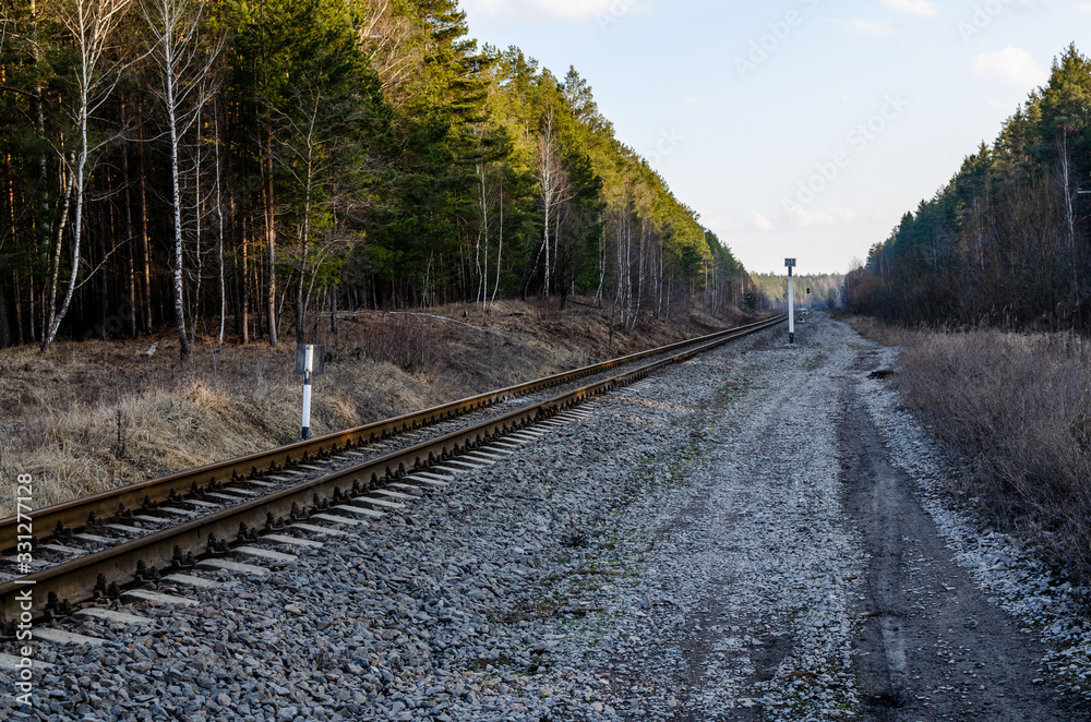 The railway near the forest goes into the distance. Railway in the forest