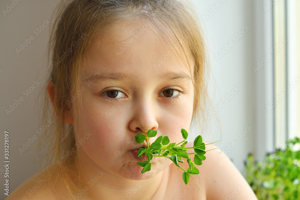Happy girl eats pea microgreen .vegeterian concept.good appetite. spring avitaminosis.sprout vegetables germinated from high quality organic plant seed on linen mat.superfood Happy girl eats pea microgreen .vegeterian concept.good appetite. spring avitaminosis.sprout vegetables germinated from high quality organic plant seed on linen mat.superfood