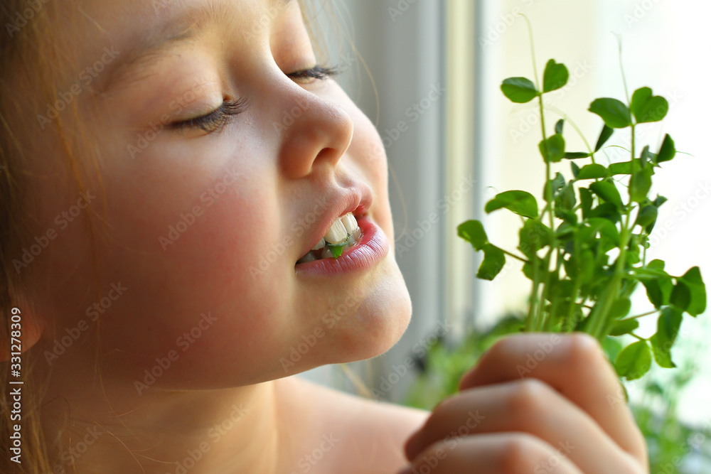 Happy girl eats pea microgreen .vegeterian concept.good appetite. spring avitaminosis.sprout vegetables germinated from high quality organic plant seed on linen mat.superfood Happy girl eats pea microgreen .vegeterian concept.good appetite. spring avitaminosis.sprout vegetables germinated from high quality organic plant seed on linen mat.superfood