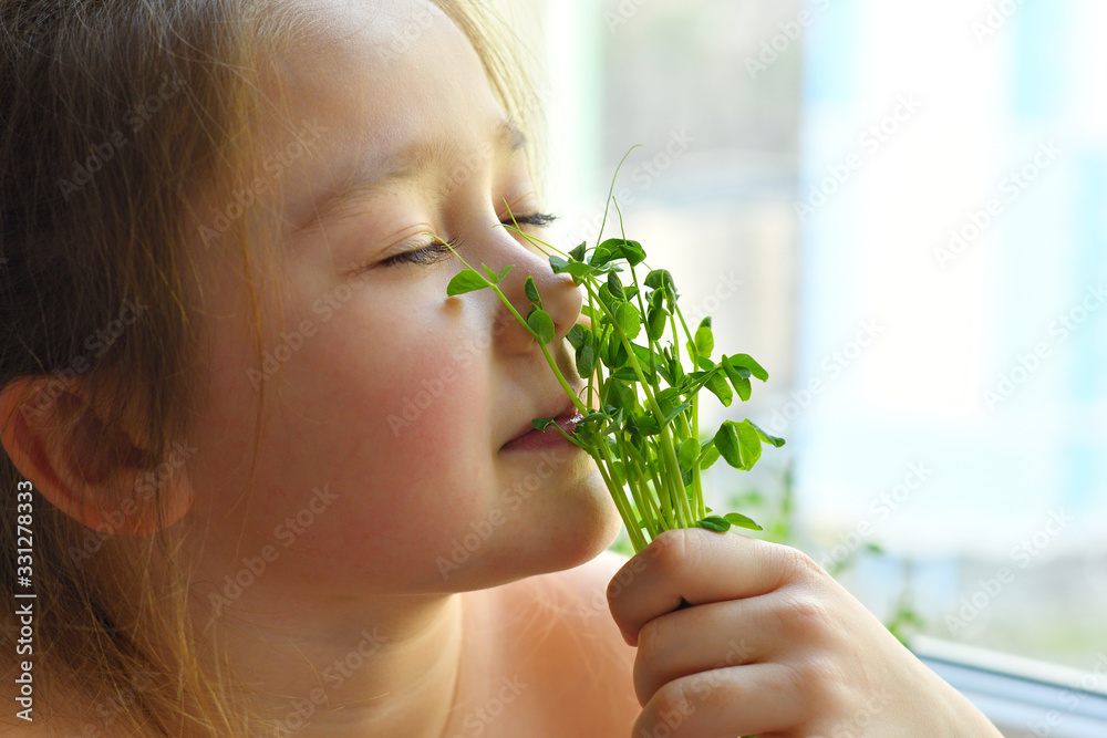 Happy girl eats pea microgreen .vegeterian concept.good appetite. spring avitaminosis.sprout vegetables germinated from high quality organic plant seed on linen mat.superfood Happy girl eats pea microgreen .vegeterian concept.good appetite. spring avitaminosis.sprout vegetables germinated from high quality organic plant seed on linen mat.superfood