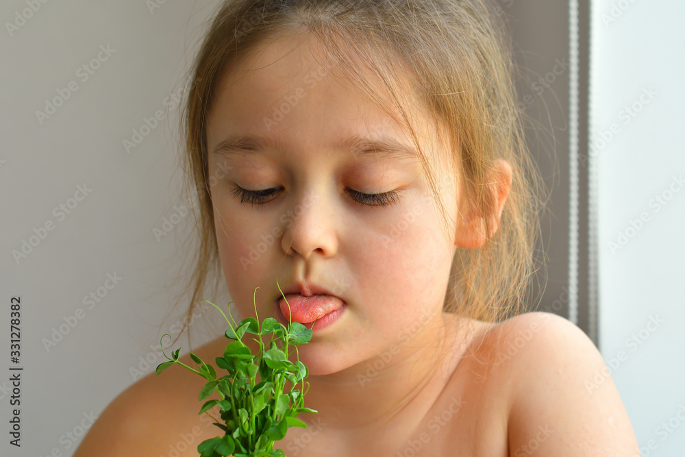 Happy girl eats pea microgreen .vegeterian concept.good appetite. spring avitaminosis.sprout vegetables germinated from high quality organic plant seed on linen mat.superfood Happy girl eats pea microgreen .vegeterian concept.good appetite. spring avitaminosis.sprout vegetables germinated from high quality organic plant seed on linen mat.superfood