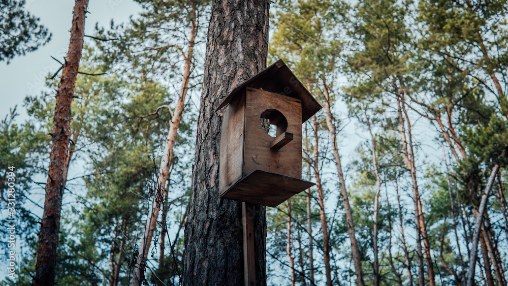 Wooden birdhouse hanging on tree in forest. Close-up of house for birds on branch of tree trunk. Wooden birdhouse hanging on tree in forest. Close-up of house for birds on branch of tree trunk.