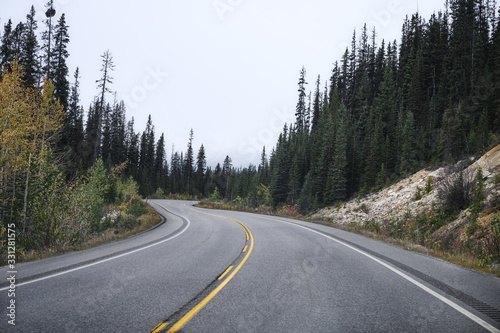Highway asphalt road in pine forest on overcast at national park