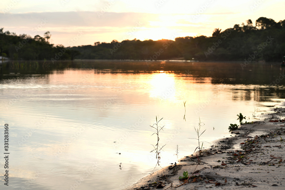 river and forest dawn on one of the tributaries in the Amazon in Brazil