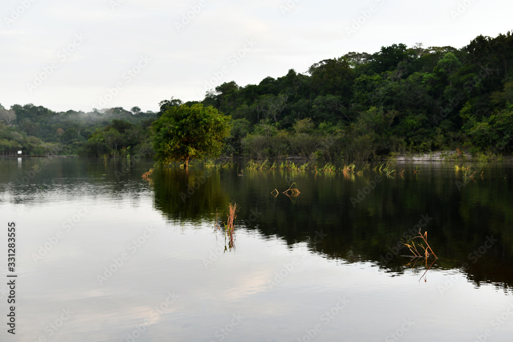 river and forest dawn on one of the tributaries in the Amazon in Brazil
