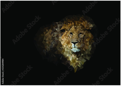 Lion in vector made of polygons