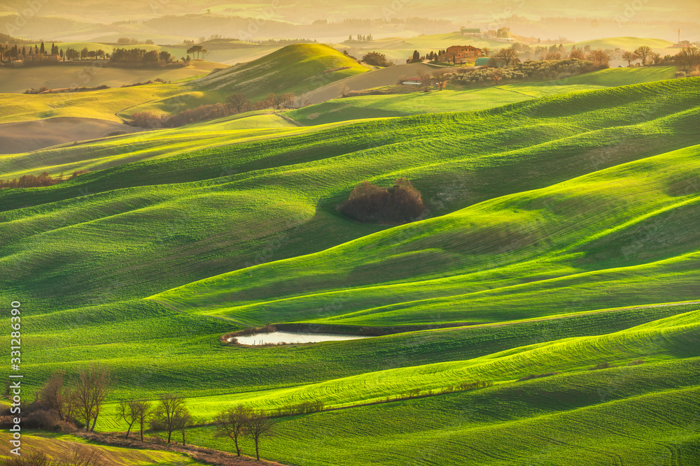 Tuscany panorama, rolling hills, trees and green fields. Italy