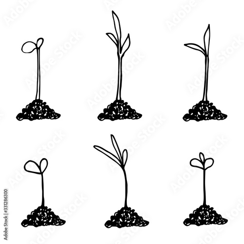 Seedlings in hand drawn doodle style. Garden vector illustration. Isolated on white.