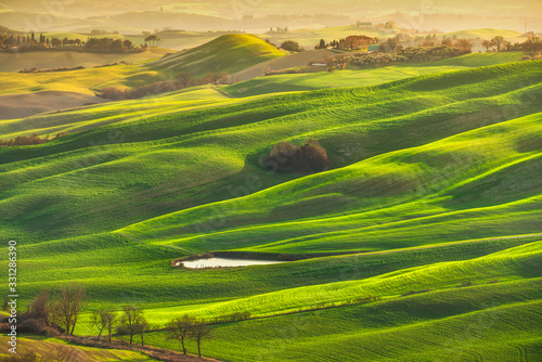 Tuscany panorama  rolling hills  trees and green fields. Italy