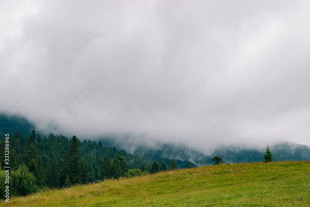 Peak of ukrainian Carpathian mountains in overcast day. View of cloudy vertex in the middle of summer. Ground view with forest, hills, meadow without people. Nobody. Hiking. Beautiful landscape. 