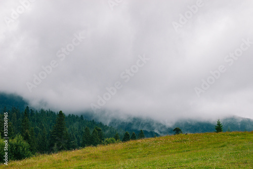 Peak of ukrainian Carpathian mountains in overcast day. View of cloudy vertex in the middle of summer. Ground view with forest, hills, meadow without people. Nobody. Hiking. Beautiful landscape.  © Svetlana