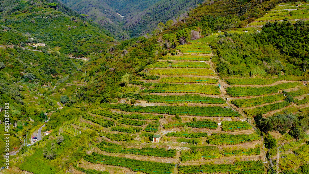Landscape of the village of Vernazza viewed from above filmed by a drone with vineyard in the background, Cinque Terre, Italy Landscape of the village of Vernazza viewed from above filmed by a drone with vineyard in the background, Cinque Terre, Italy